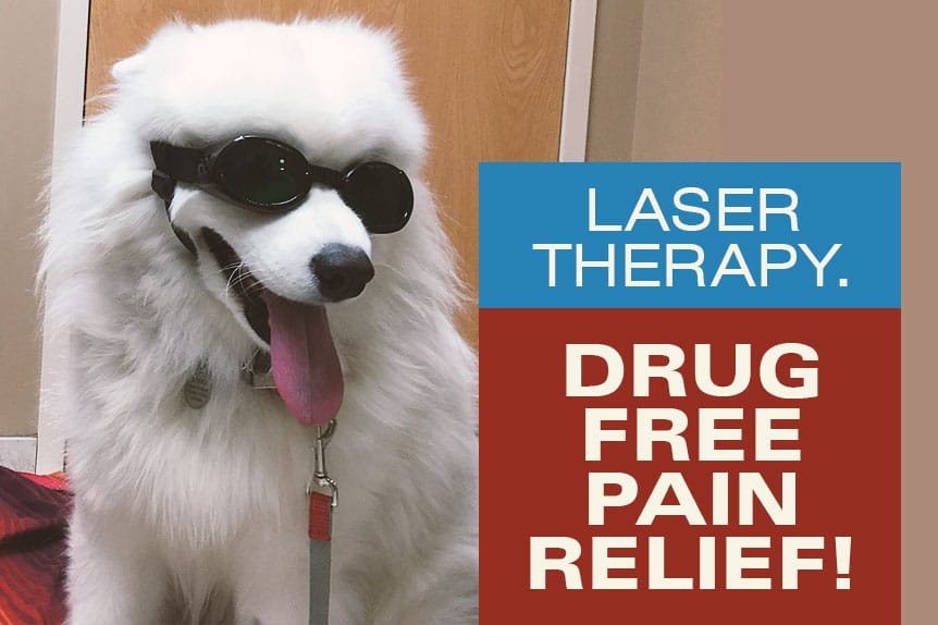 Pain Management and the Use of Cold Laser Therapy